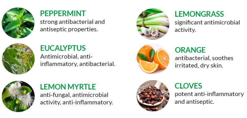 Screen Shot 2020-04-03 at 12.59.31 PM