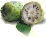 Organic Noni Cream 60ml