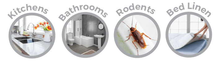 Everclean design copy