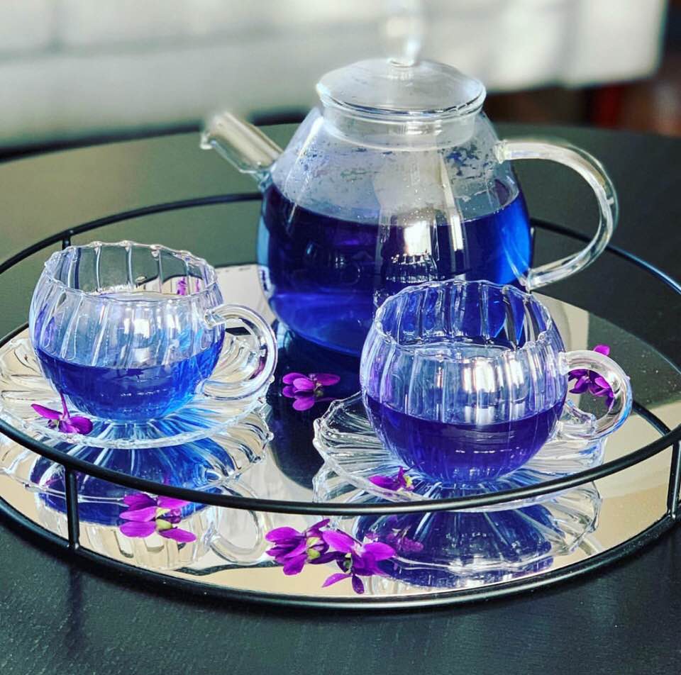 Blue Butterfly Pea Tea