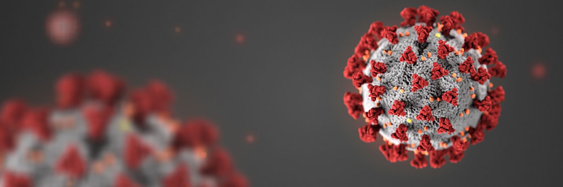 Coronavirus COVID 19 Symptoms Prevention