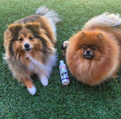 Pet Shampoo & Deodoriser Pack